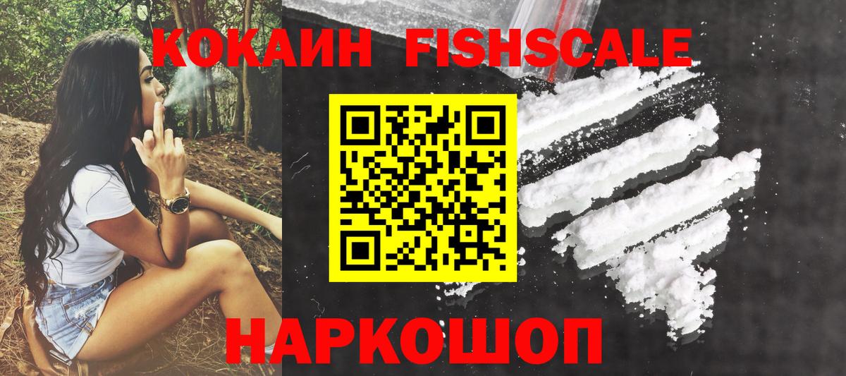 COCAIN Fish Scale  Вход с VPN  Сосновый Бор 