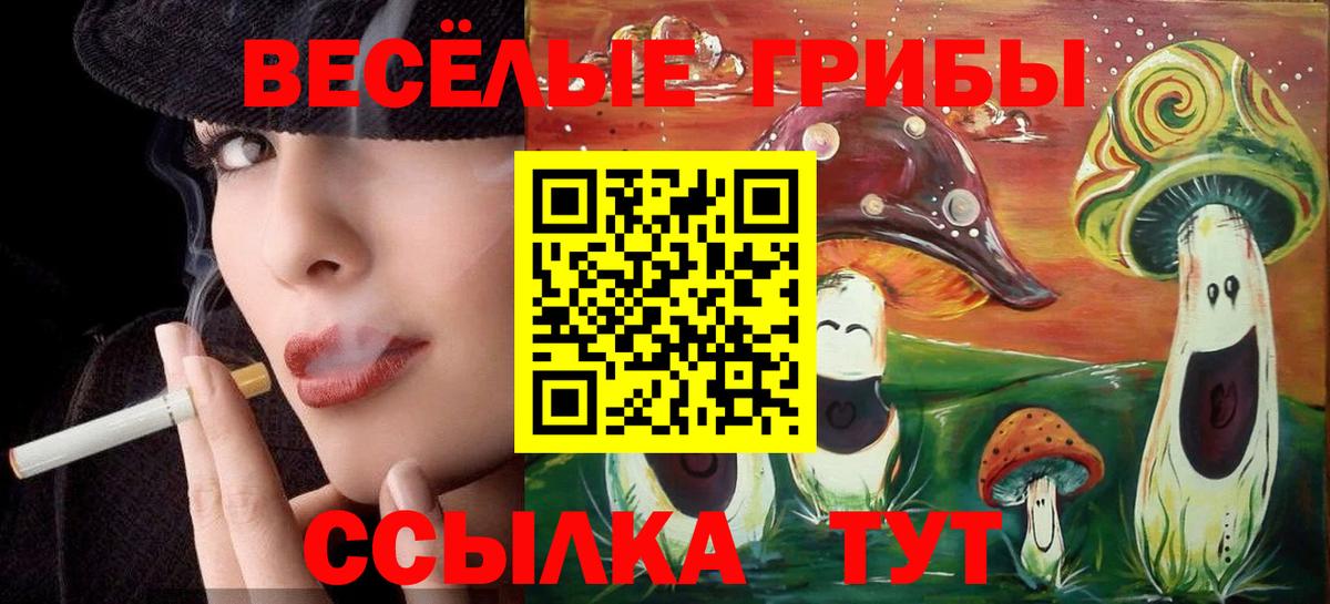 Псилоцибиновые грибы мухоморы  Вход с VPN  Сосновый Бор 
